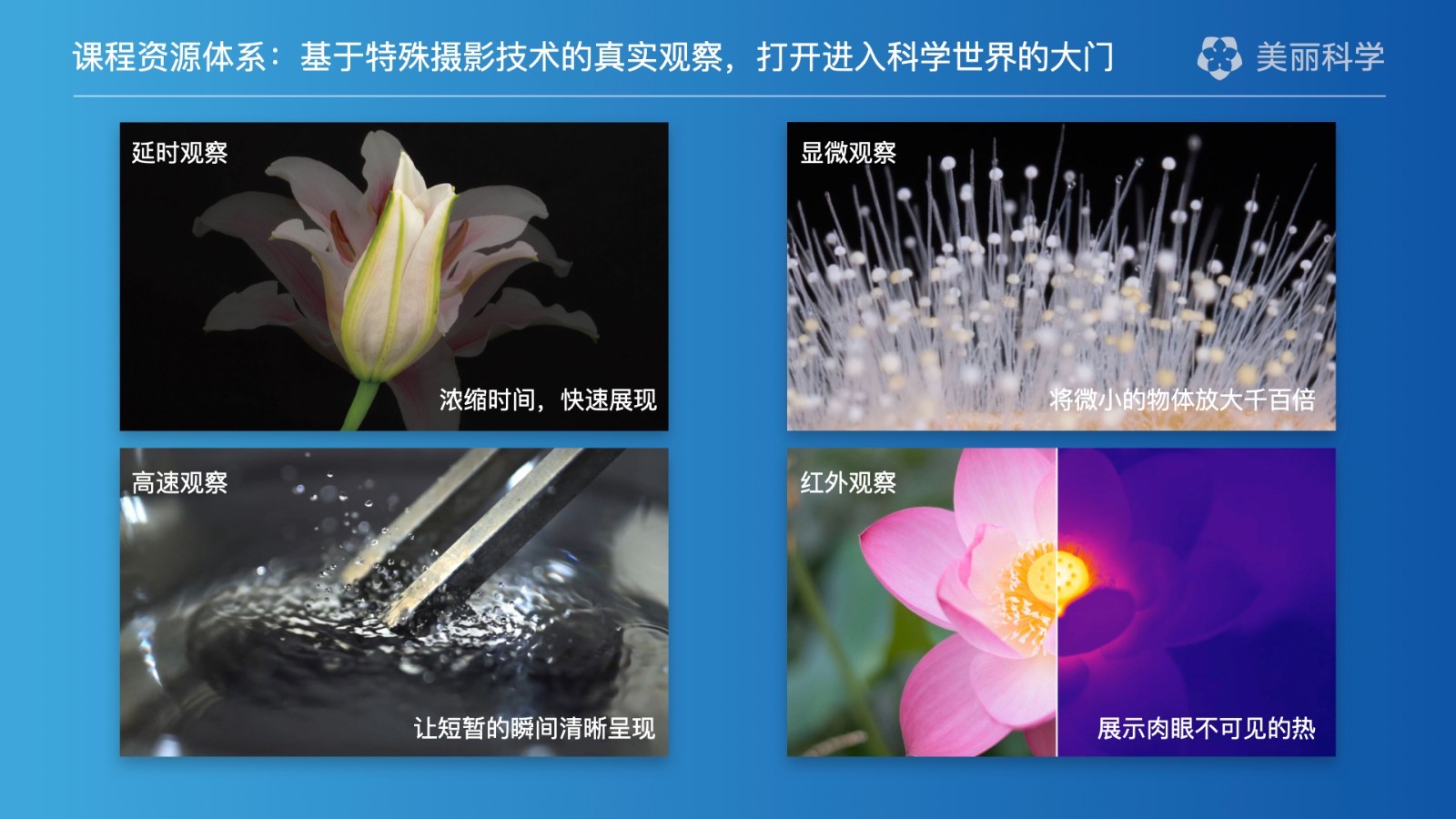 美丽科学