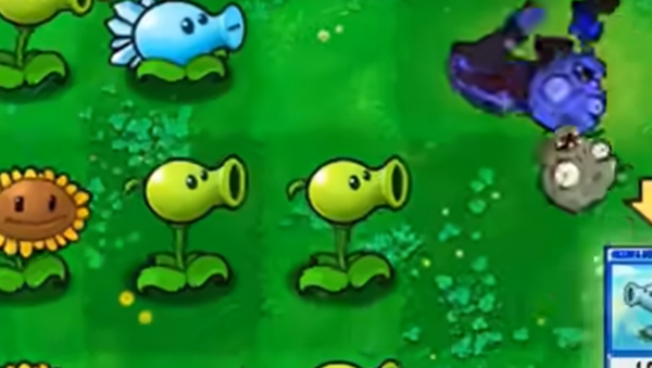 植物大战僵尸抽卡版