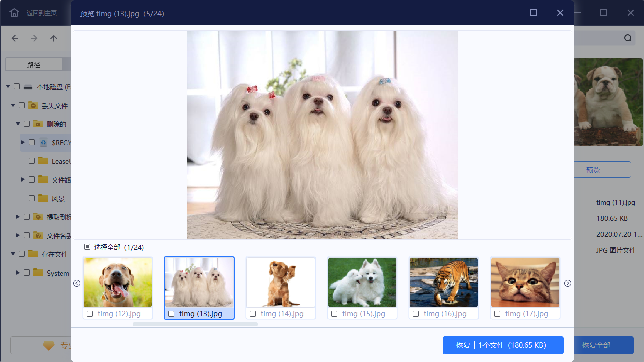 格式化文件恢复软件